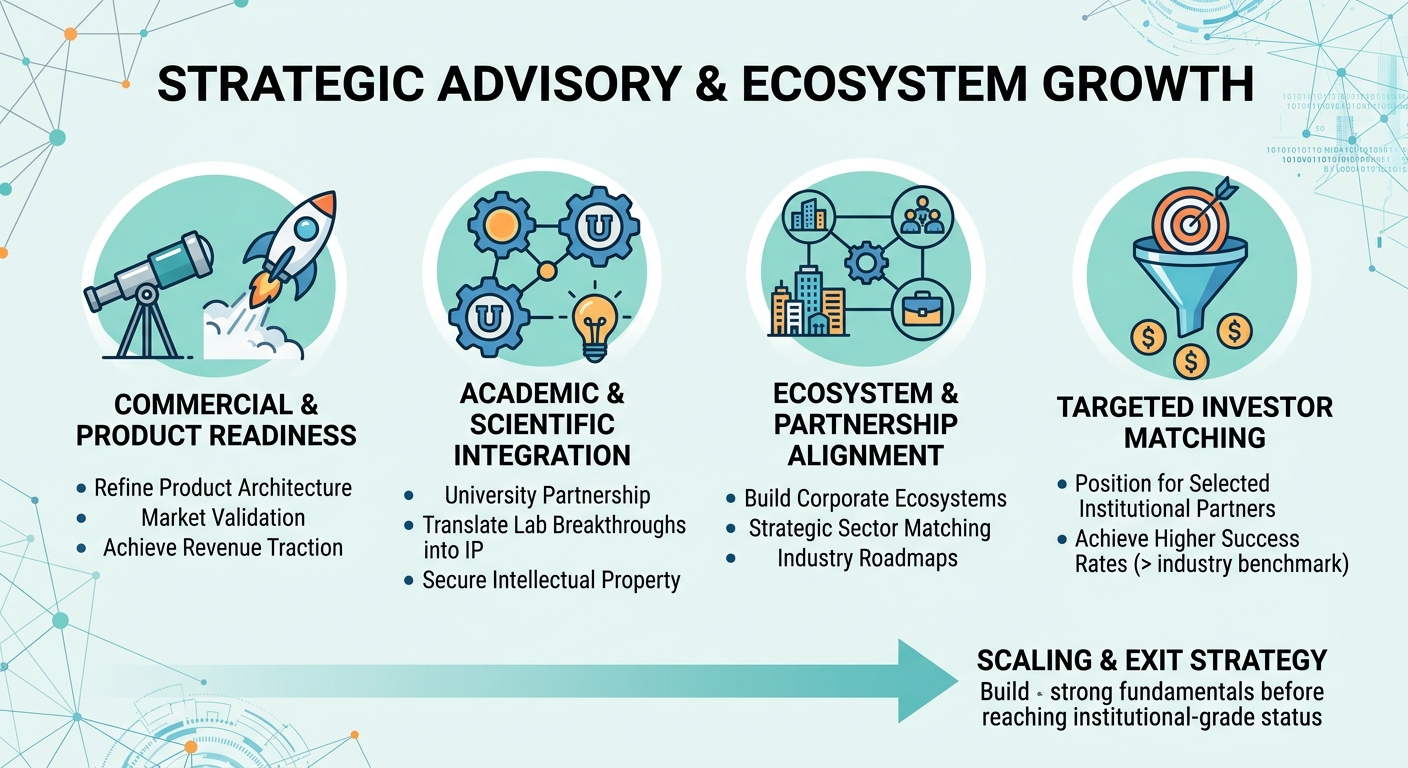 Strategic Advisory Beyond Traditional Venture Capital for Scale-Ups and Research Spin-Outs Nigeria